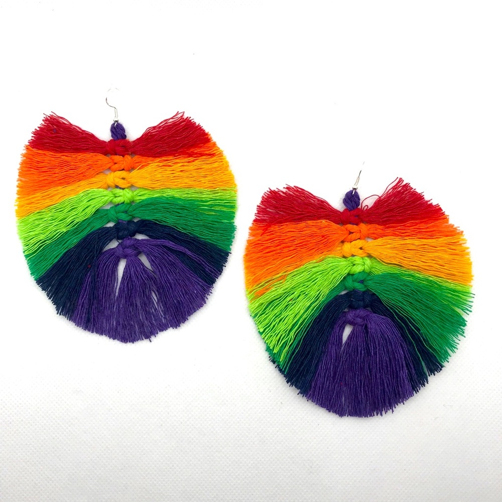 Rainbow Fringe Earrings